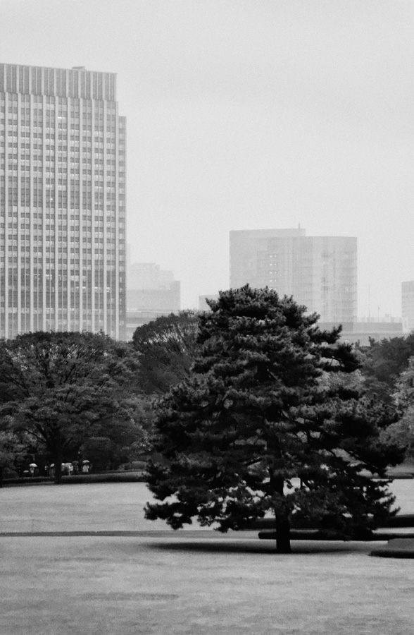 Tokyo – Imperial palace plaza