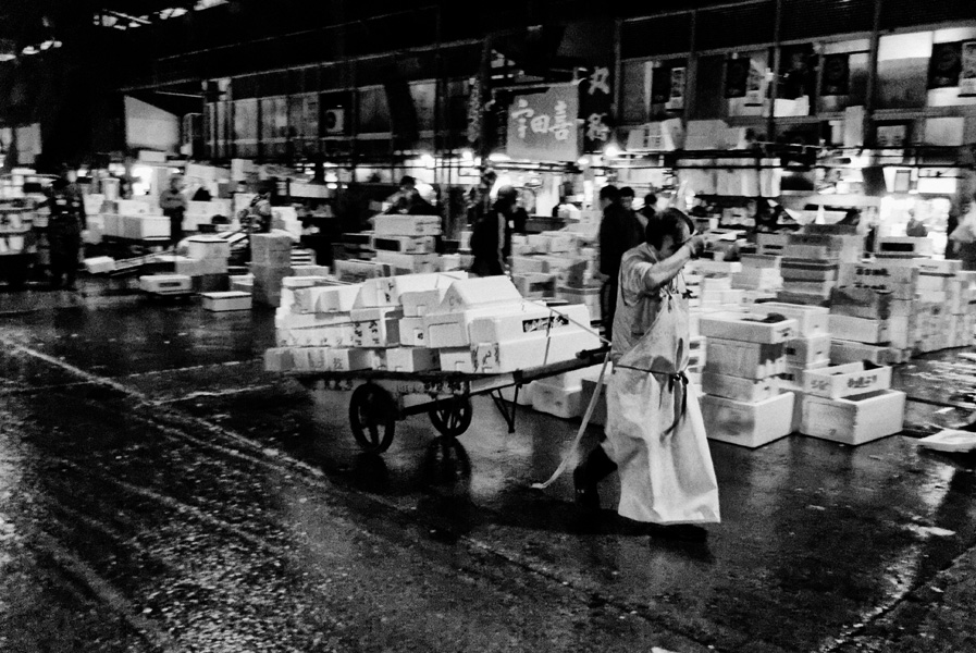 Tokyo – Worker at the Tsujiki Fish Market