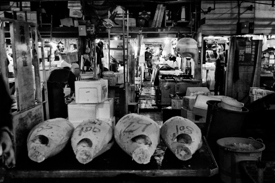 Tokyo – Tuna at the Tsujiki Fish Market